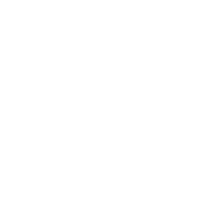 PROFORE Zukunftsinstitut